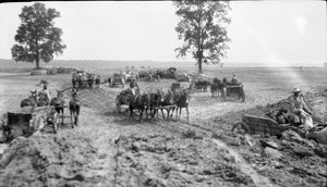 Levee